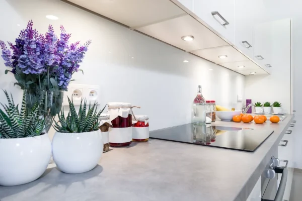 CountertopFFF_1 CountertopFFF_1